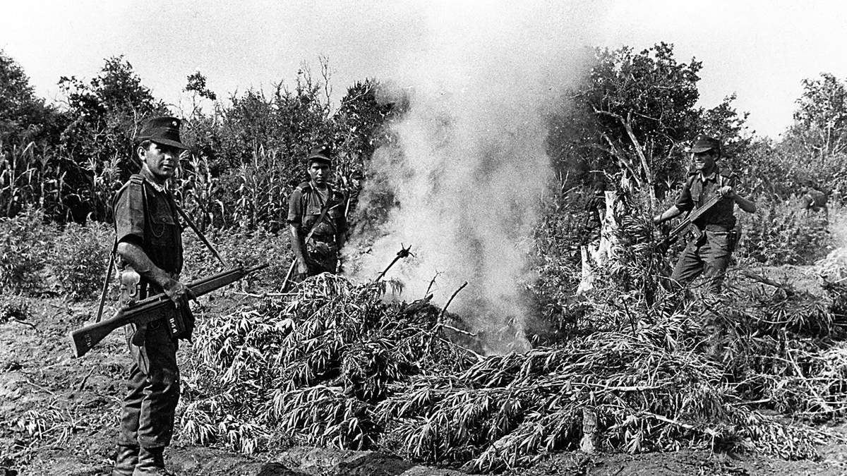 Quema de drogas en Guerrero