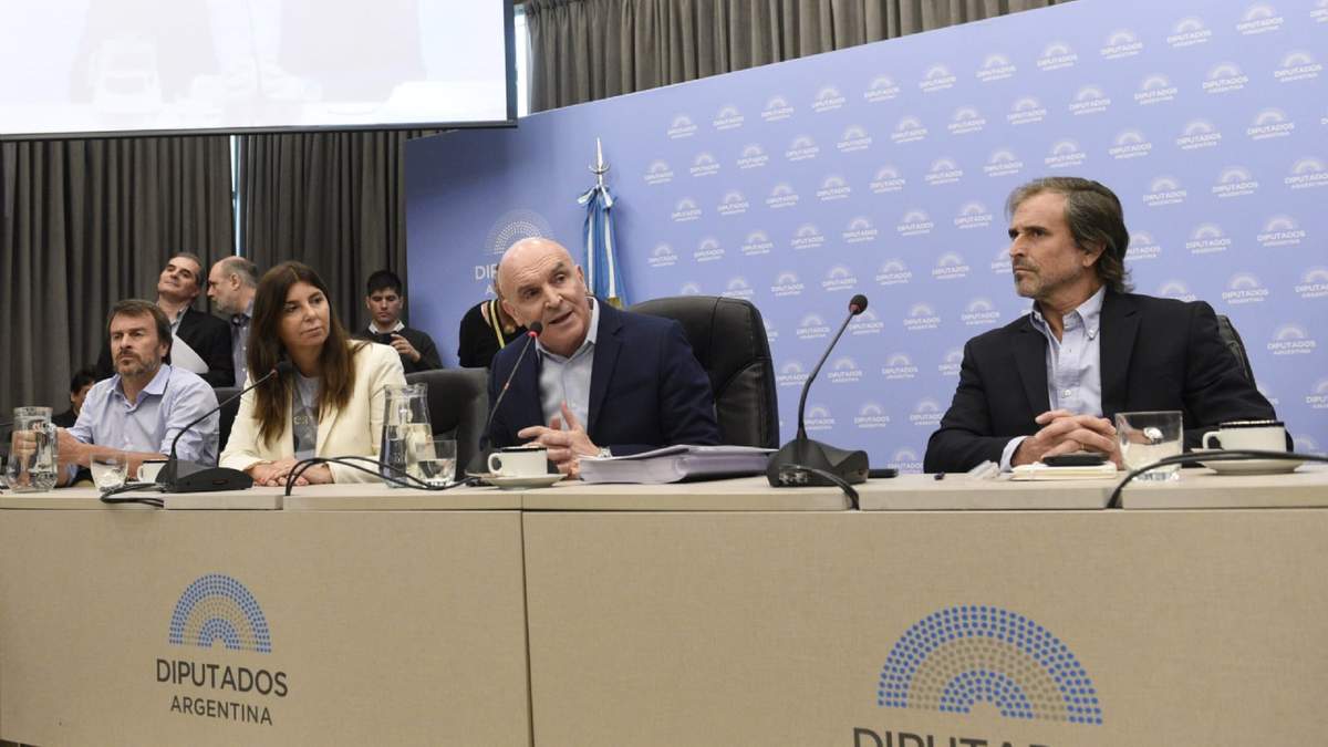 La Ley Ómnibus contiene el mayor paquete de reformas del gobierno libertario. Fuente: (Twitter)