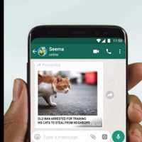 WhatsApp ya permite modificar o añadir texto a los archivos reenviados