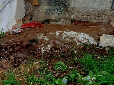 Hallan fosa clandestina con cinco cuerpos en Jacona