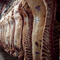 El Gobierno anunció cuándo levantará el cepo a la exportación de carne