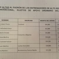 Madre de directivo de la Conade recibe beca mensual de 52 mil pesos