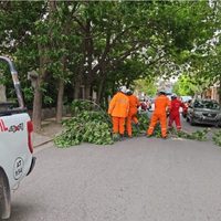 Las ráfagas de viento en Neuquén causaron serios inconvenientes en la capital