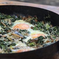 Si ya no se te ocurre qué cocinar para cenar, prepará estos niditos súper fáciles de acelga, batata y huevo