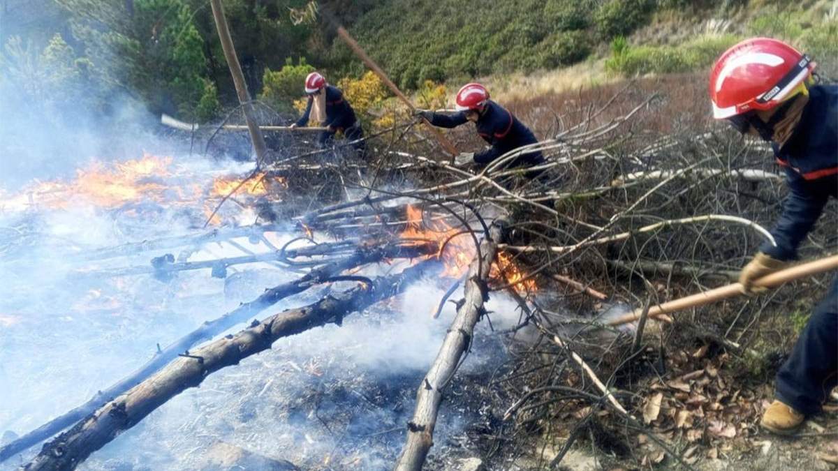 Siguen combatiendo incendios en Santa Cruz, Bolivia.