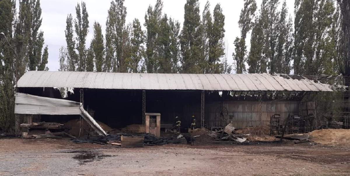 El aserradero que fue afectado por el incendio. Fuente: (Centenario Digital)