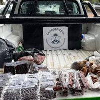 Controles simultáneos revelan caza ilegal y comercialización de productos de fauna silvestre sin certificación