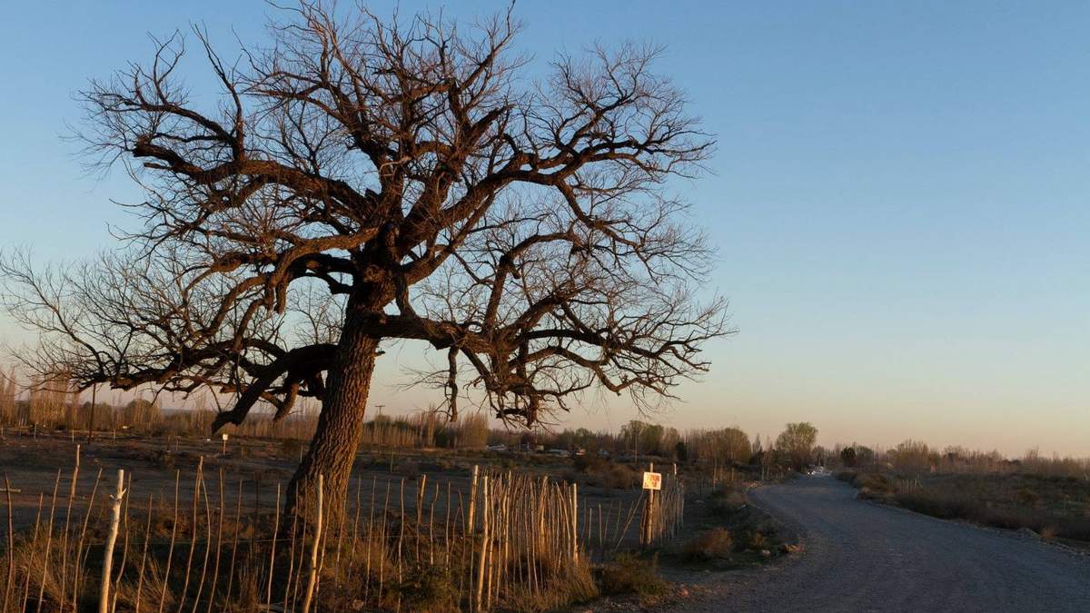 El ingreso al barrio La herradura de Neuquén. Fuente: (Emiliano Ortiz)