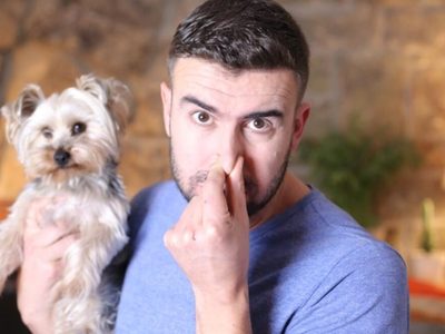 Eliminá el olor que dejan tus mascotas cuando ensucian, con 1 ingrediente que siempre tenés a mano