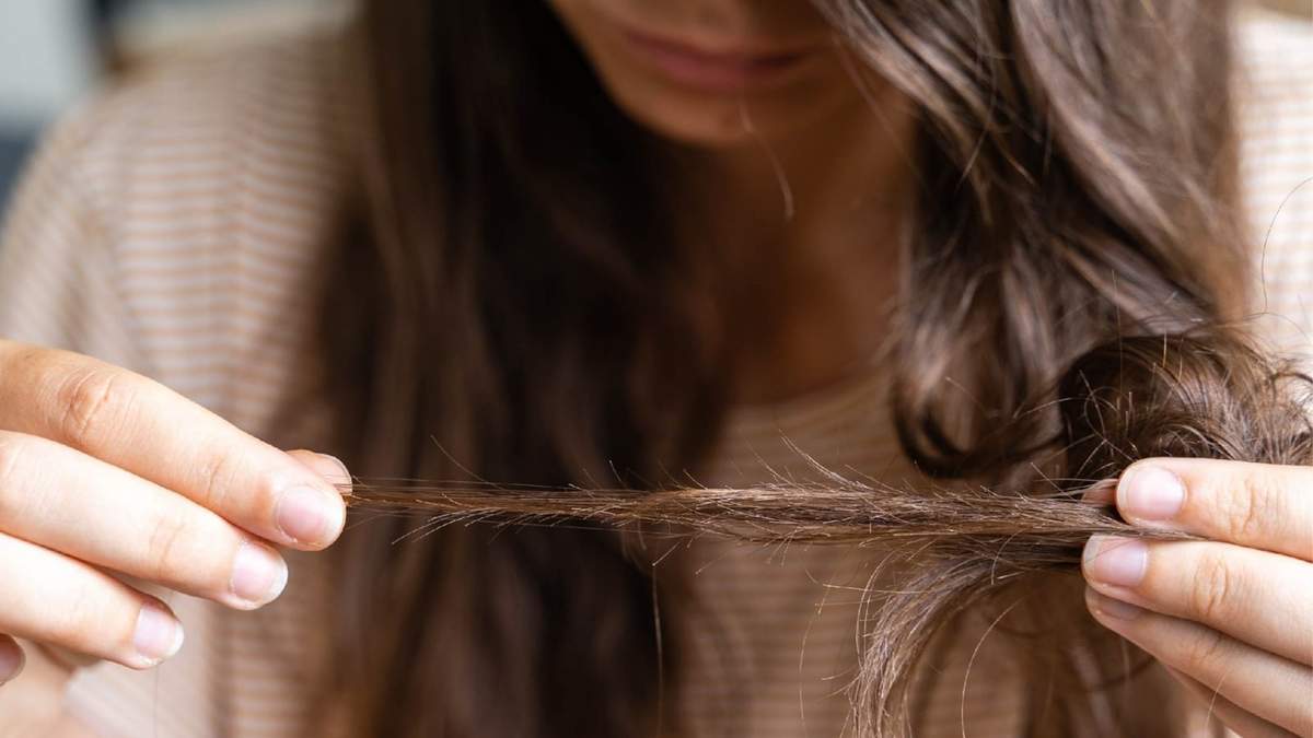 Cabello. Fuente: (instagram)
