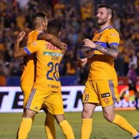 Tigres y Guadalajara reeditarán uno de los clásicos más picantes del fútbol mexicano