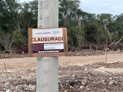 Pese a suspensión definitiva de construcción en la selva maya, empresa avícola retoma obras