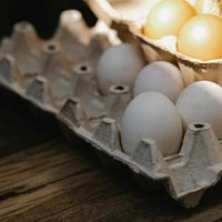 No tires el maple de huevos vacío: con eso y un pedazo de cartón, mirá esto tan útil que vas a querer en tu cocina