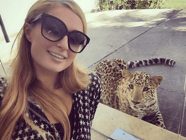 paris_hilton_demuestra_su_amor_a_los_animales_en_su_visita_a_mexico_0