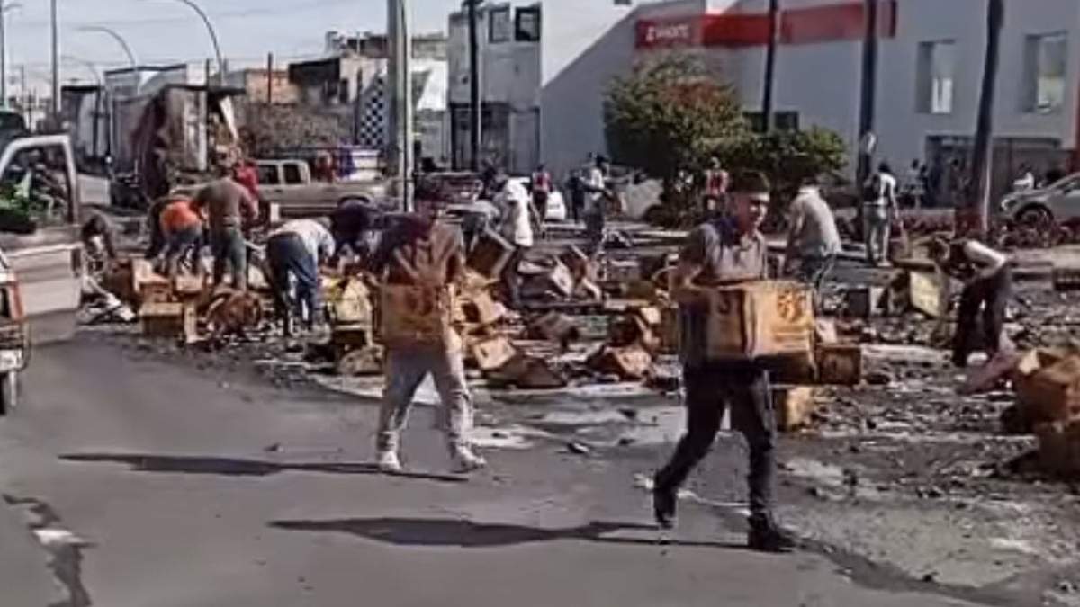 Rapiña de cerveza