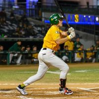 La Liga Mexicana del Pacífico tiene nuevo presidente