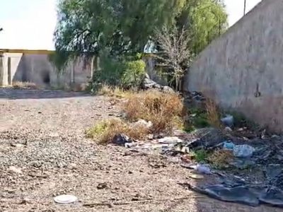Vecinos a la deriva: inseguridad y basura a metros de la Delegación Carrodilla