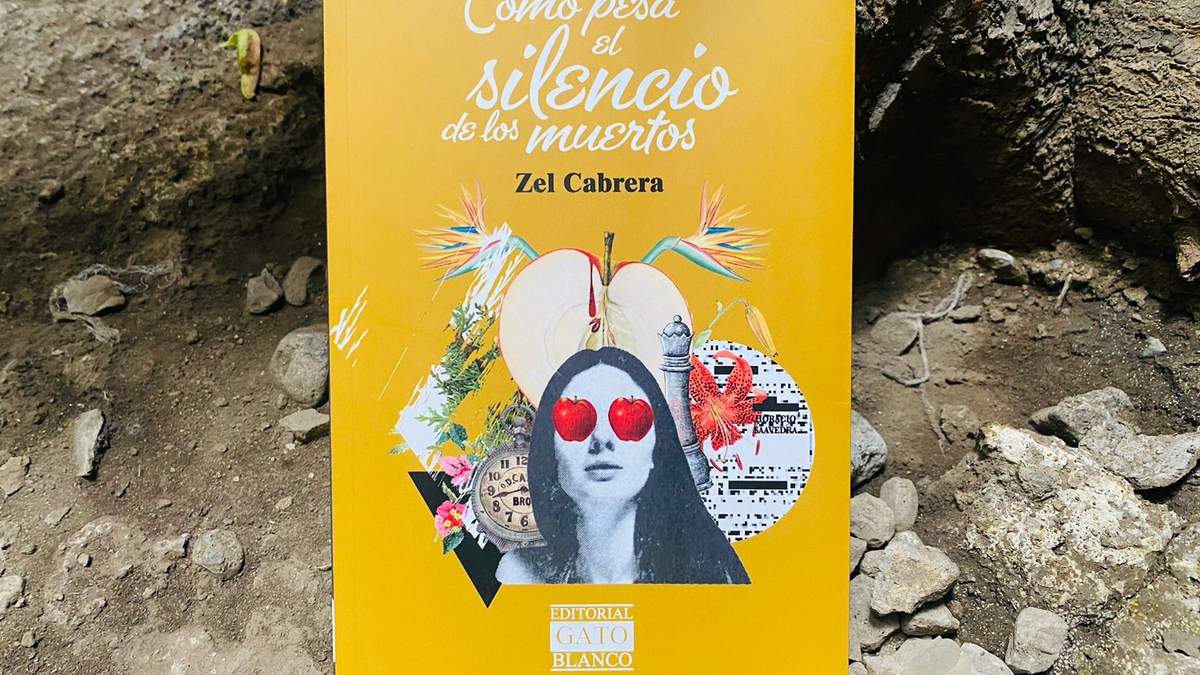 La novela de Cabrera