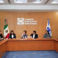 Panistas votan para elegir nueva dirigencia nacional