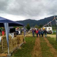 ¡Fiesta en El Bolsón!: llega el Festival de la Cosecha del Lúpulo