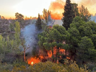 Investigan si el incendio en Parque Norte fue intencional