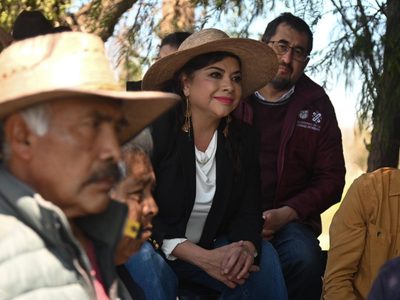 Brugada insta a autoridades del Estado de México y Morelos a combatir juntos la tala clandestina