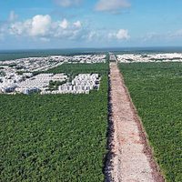 Tren Maya: en marcha lenta, destructiva y onerosa
