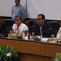 Avanza iniciativa contra maíz transgénico en comisiones de San Lázaro