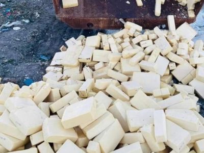 Detectan y destruyen en Chihuahua 10.6 toneladas de queso menonita contaminado