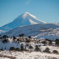 Turismo Neuquén: 4 cosas para hacer en Junín de los Andes que te van a sorprender