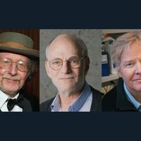 Tres estadunidenses ganan el Nobel de Medicina por sus trabajos sobre el reloj biológico