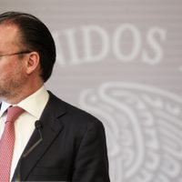 Videgaray, responsable de dirigir la red de desvíos para campañas del PRI y Meade: Robles