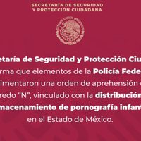 Cae presunto distribuidor de pornografía en el Edomex