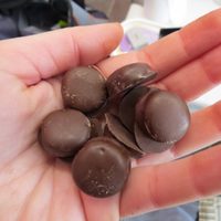 Galletitas bañadas en chocolate: una versión facilísima para acompañar los mates de la tarde