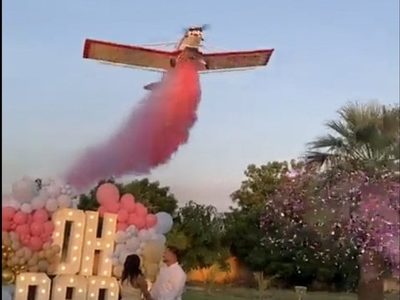 Avioneta se estrelló durante revelación de sexo en Sinaloa; el piloto falleció (Video)