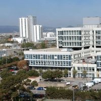 Combinación de fármacos en dosis bajas, efectiva para un tipo de cáncer de pulmón: estudio