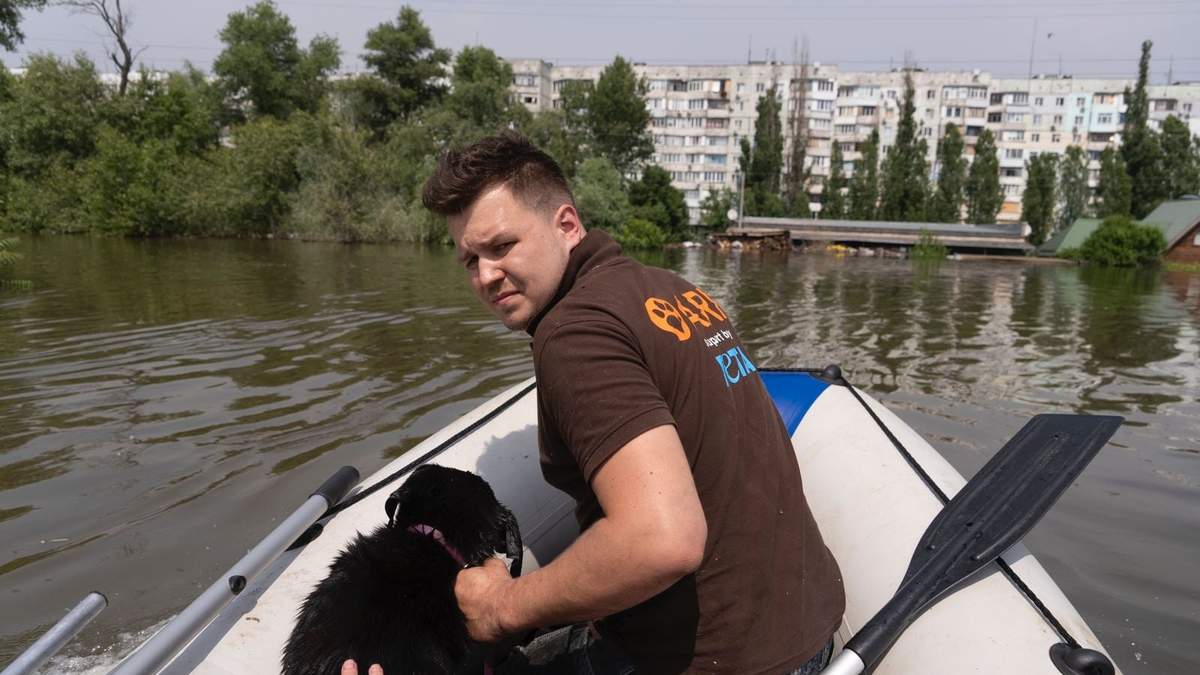 Un equipo de rescate animal se desplaza en una embarcación con un perro al que han salvado en una zona inundada