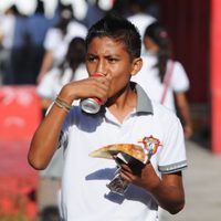 OMS pide a los colegios que ofrezcan una alimentación saludable a los alumnos