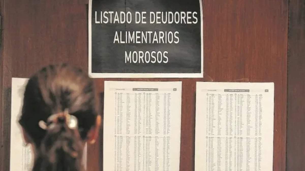 Registro Provincial de Deudores Alimentarios. Fuente :(Ambito Financiero)