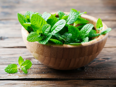 La forma de reproducir la menta por esquejes y tener hojas por siempre para preparar tragos y cocinar