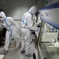 Desarrollaron una vacuna en Italia que genera anticuerpos que neutralizan al coronavirus