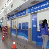 La municipalidad de Neuquén retomó la emisión de licencias profesionales de conducir