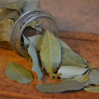 Qué días de septiembre tenés que quemar hojas de laurel si querés atraer la prosperidad y abrir tus caminos