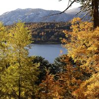 Así estará el clima este viernes 26 de noviembre en Neuquén
