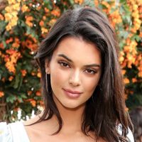 Con una impactante pieza de animal print, Kendall Jenner desplegó sus encantos ante la cámara