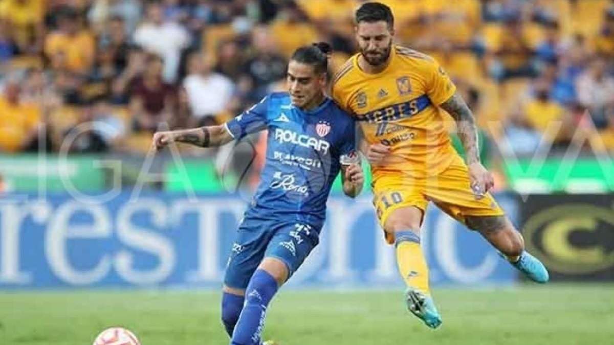 Encuentro entre Tigres y Necaxa en el Torneo Apertura 2022