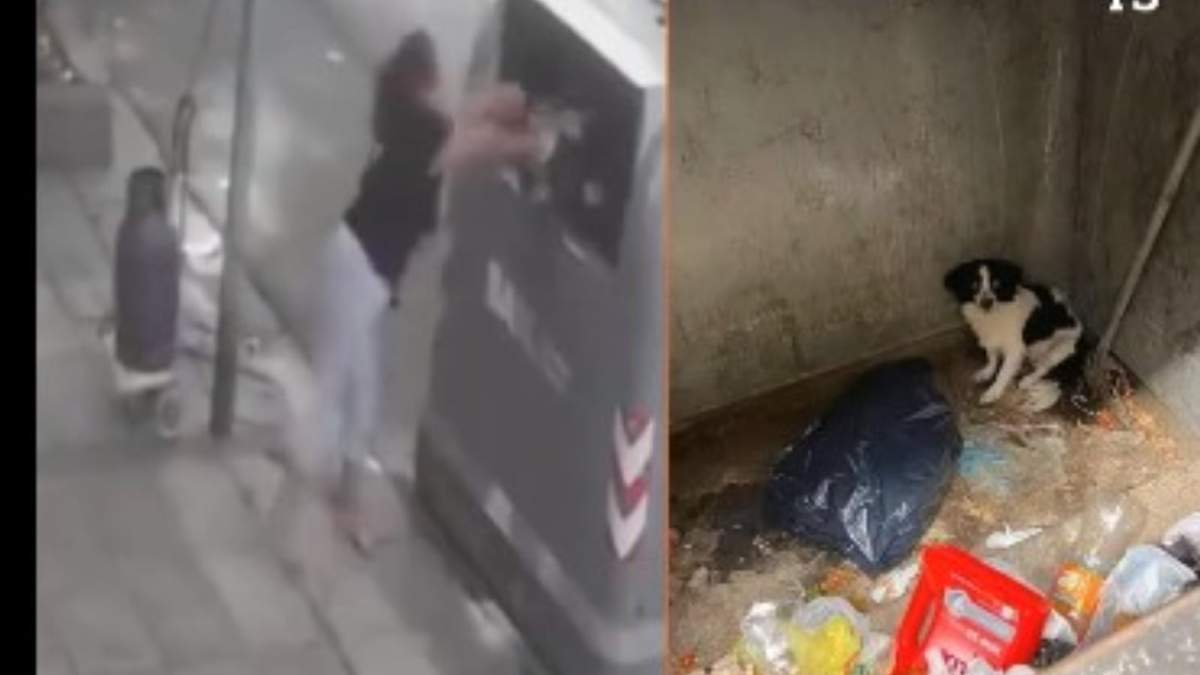 Mujer echa a la basura a su perro
