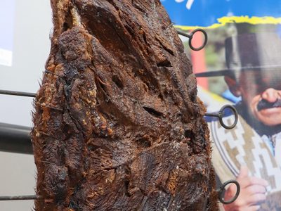 Aluminé revaloriza sus tradiciones y costumbres camperas en la Fiesta Provincial del Asado con Cuero