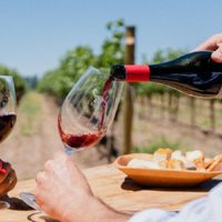 Verano en la Patagonia: la imperdible ruta del vino para disfrutar entre paisajes y bodegas