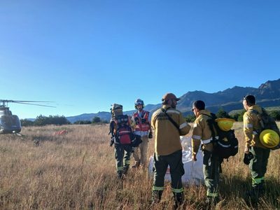 Fuego superficial en el Parque Nacional Lanín obligó a un amplio despliegue terrestre y aéreo